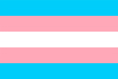 Transgender flag